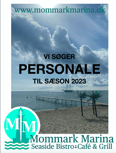 Vi søger 2023